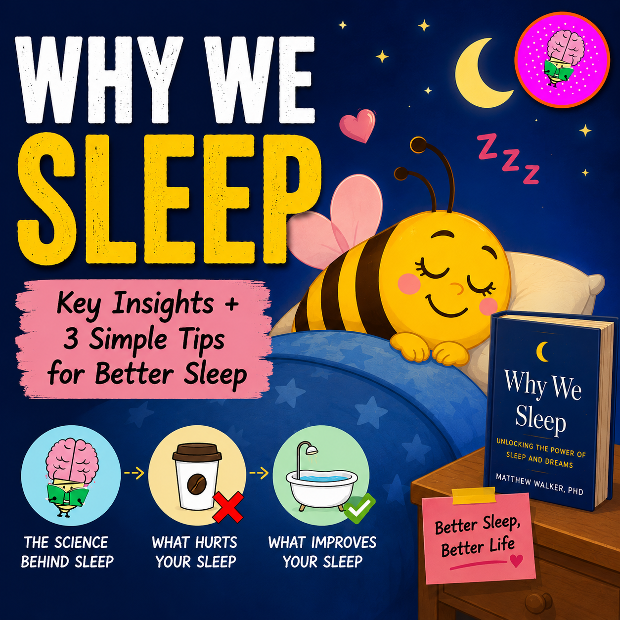 Cartoon-style YouTube thumbnail showing a cute sleeping bee in bed under a night sky with stars and a crescent moon. Large bold text reads “Why We Sleep,” with a subtitle about key insights and simple tips for better sleep. Icons illustrate sleep science, caffeine effects, and bedtime routines, alongside a book on a bedside table.